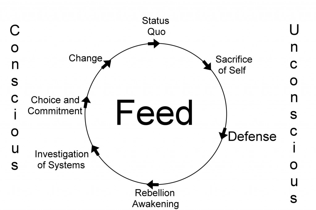 Cycle of Feed